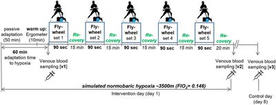 High Intensity Concentric-Eccentric Exercise Under Hypoxia Changes the Blood Metabolome of Trained Athletes